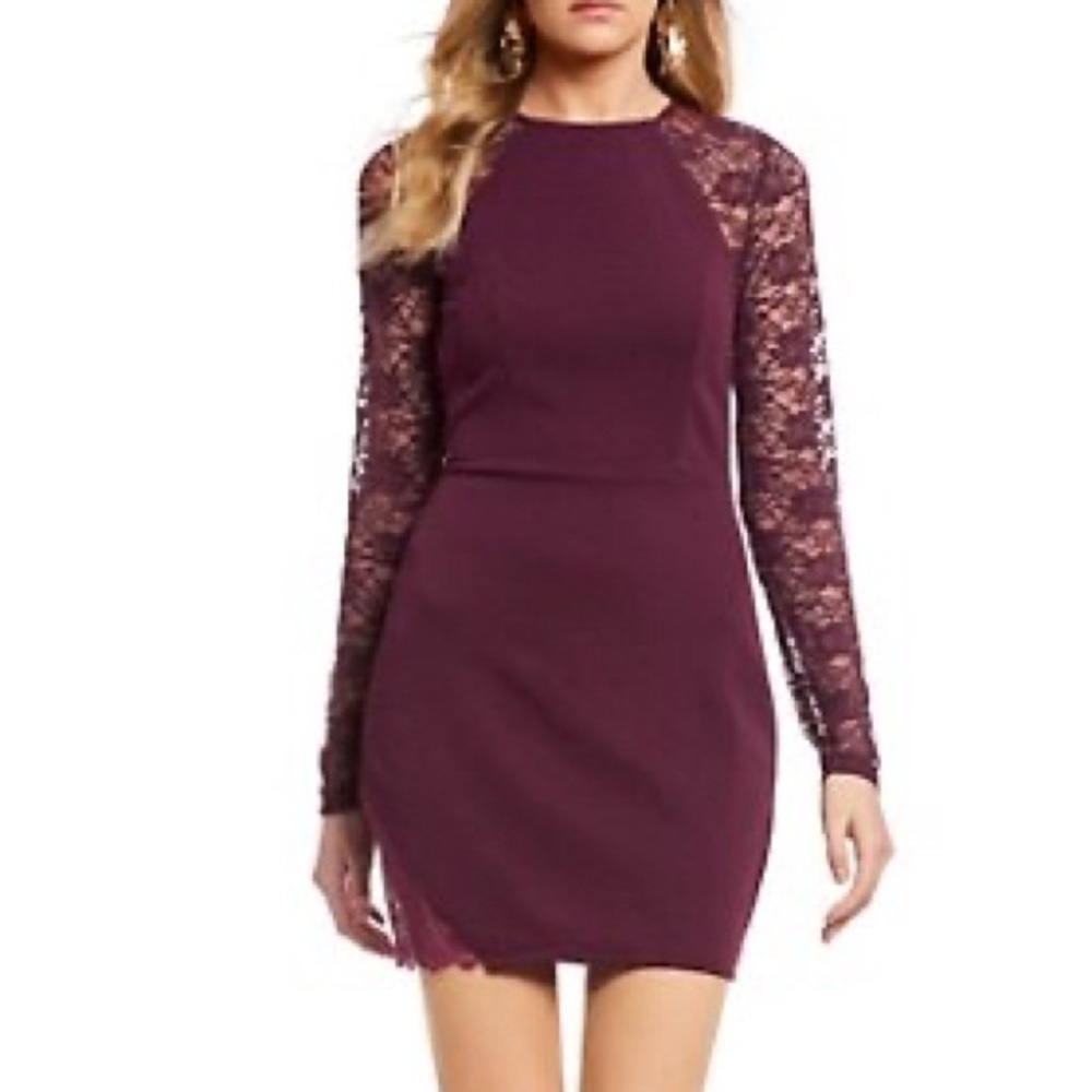 Plum Lace Sleeve, Bottom Dress